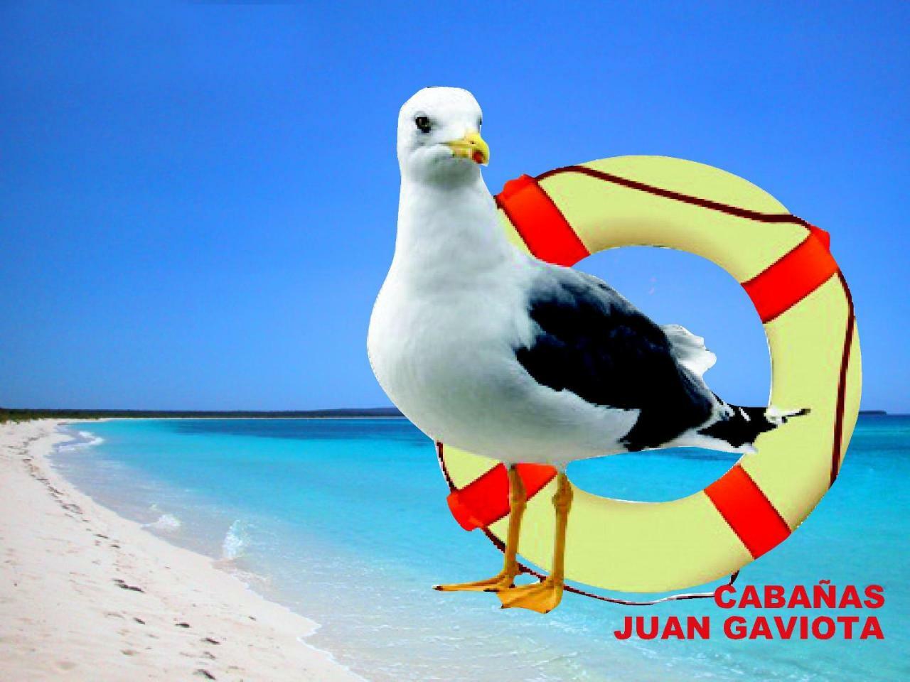 Cabanas Juan Gaviota Пунта-де-Чорос Экстерьер фото