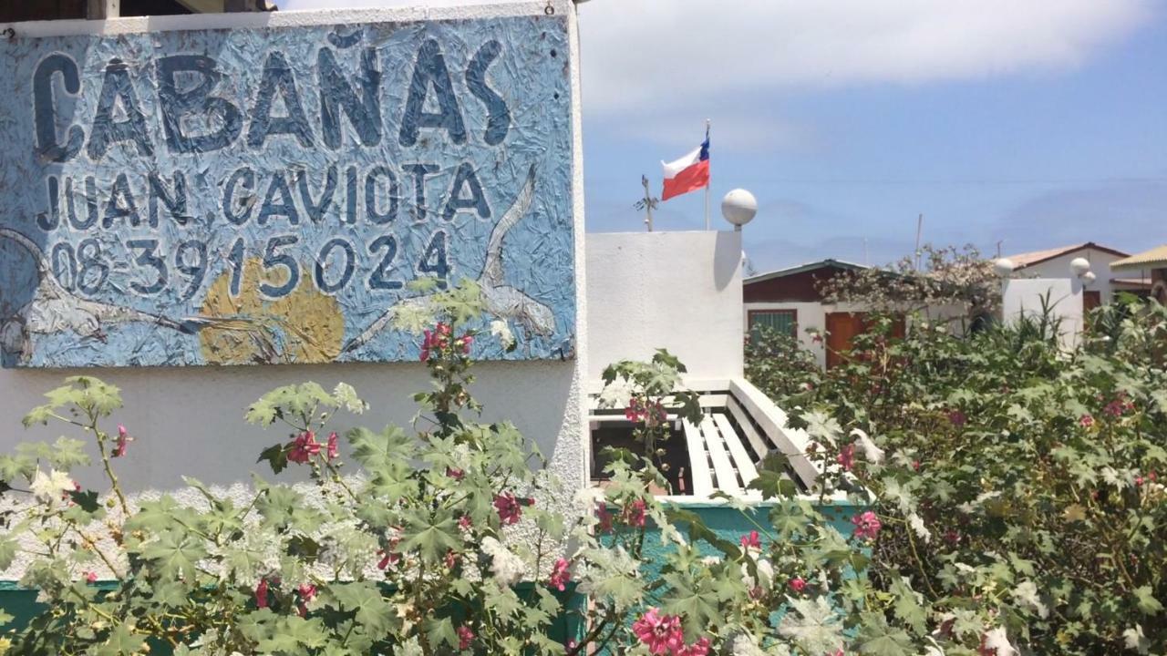 Cabanas Juan Gaviota Пунта-де-Чорос Экстерьер фото